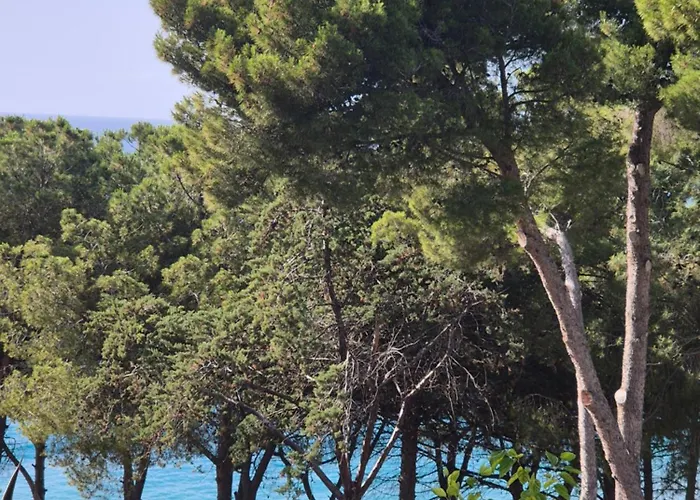 Resort Guardacosta 4*